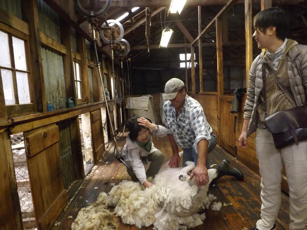 Karetu Downs Farm Stay Hawarden 외부 사진