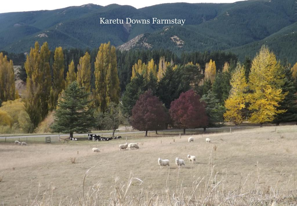 Karetu Downs Farm Stay Hawarden 외부 사진